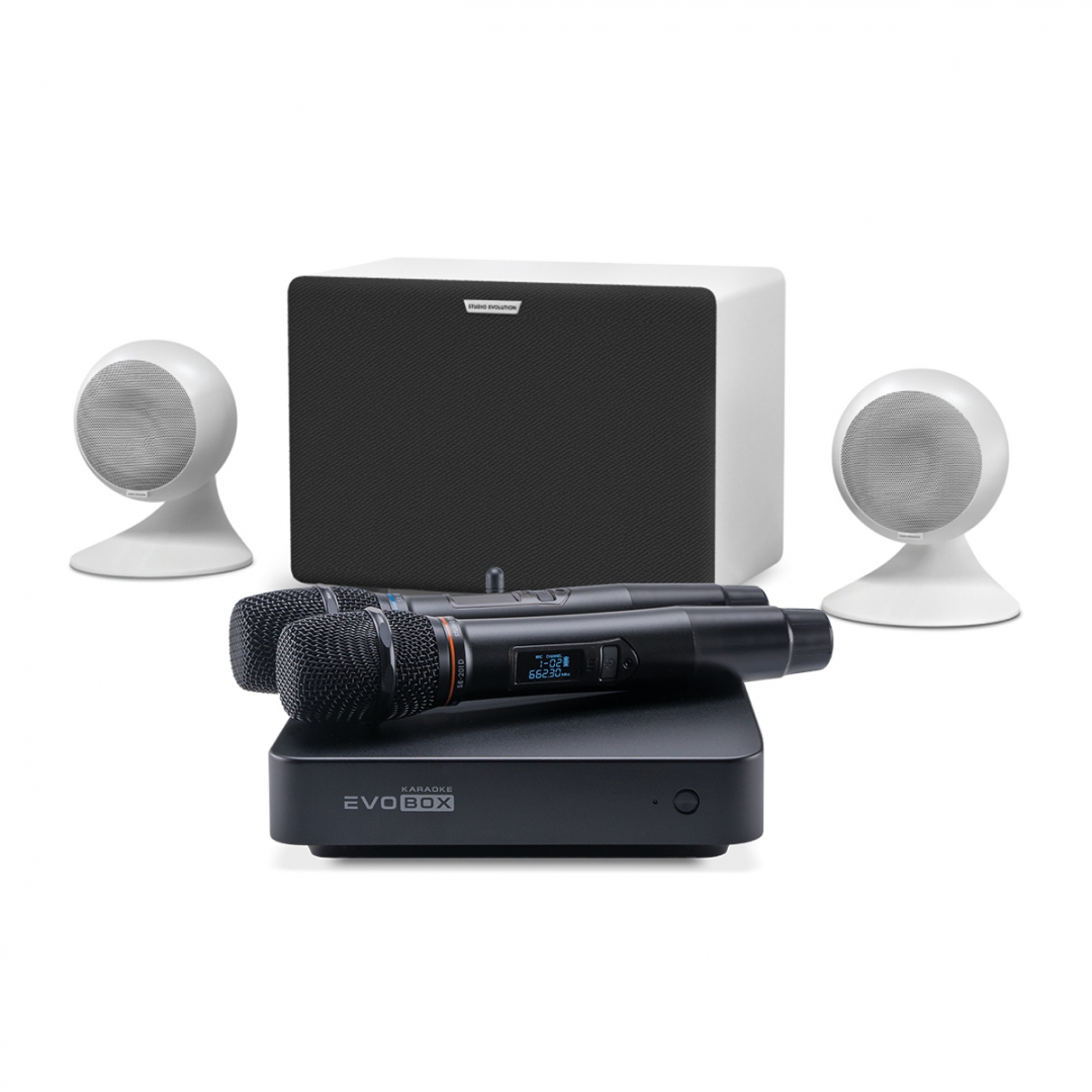 караоке-комплект EVOBOX Classic + EvoSound Sphere 2.1 в Волгограде